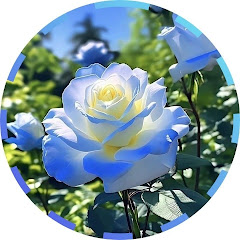 Sajjat Haque
