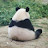 @PeeHooo's avatar