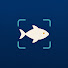 yg8jVoHPawc-channel-avatar-catcharium