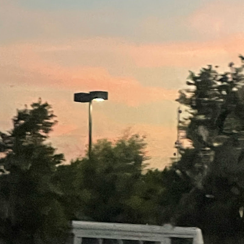 Just a normal person