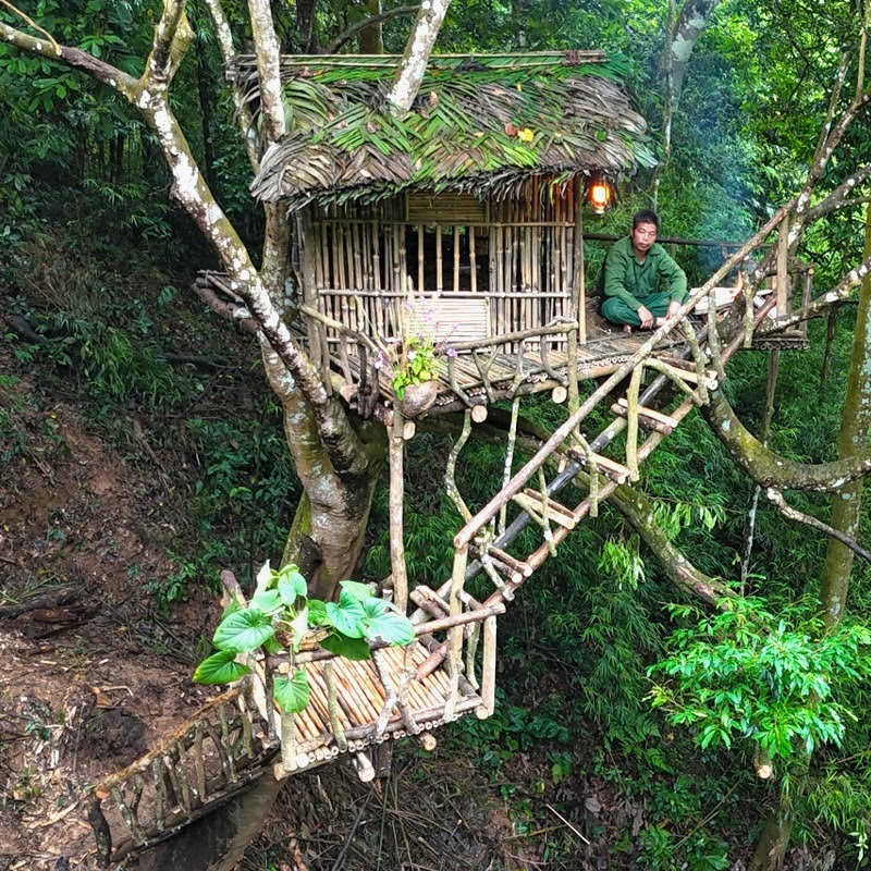 Tropical Bushcraft - TS Logo