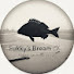 5A3F7v7DtqU-channel-avatar-Fukky's Bream Ch.