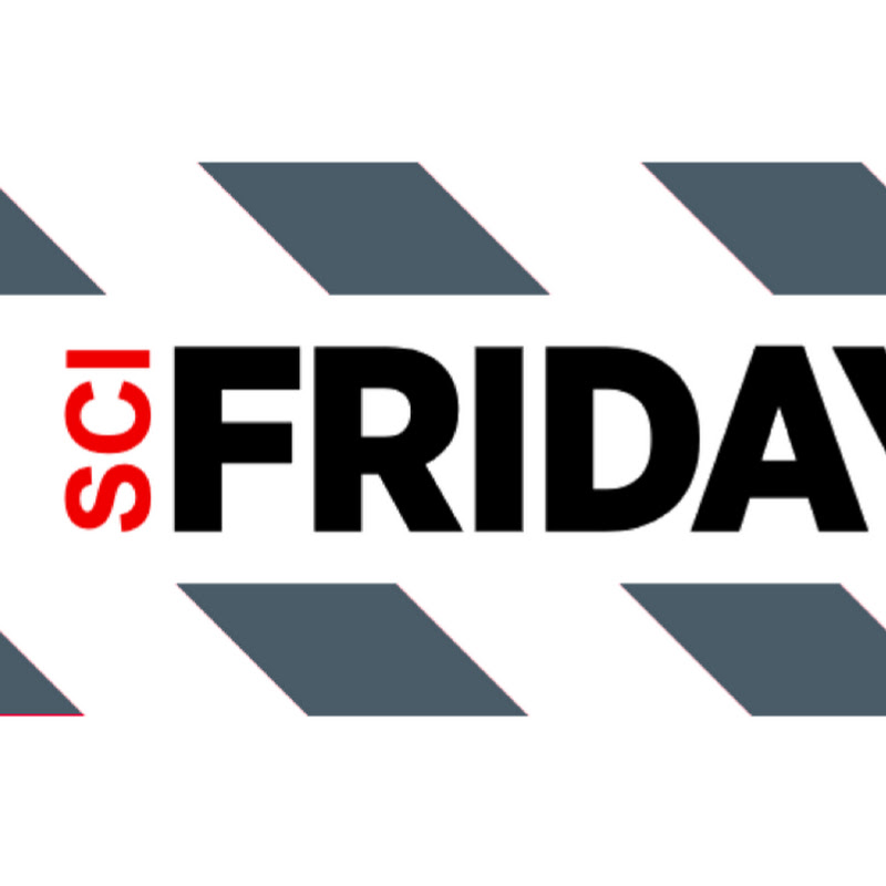 SCI Fridays
