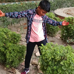Rohan crazy