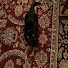 3ky413sYpJE-channel-avatar-beyza