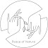 XThDZ-6CrKQ-channel-avatar-Peace Of Nature