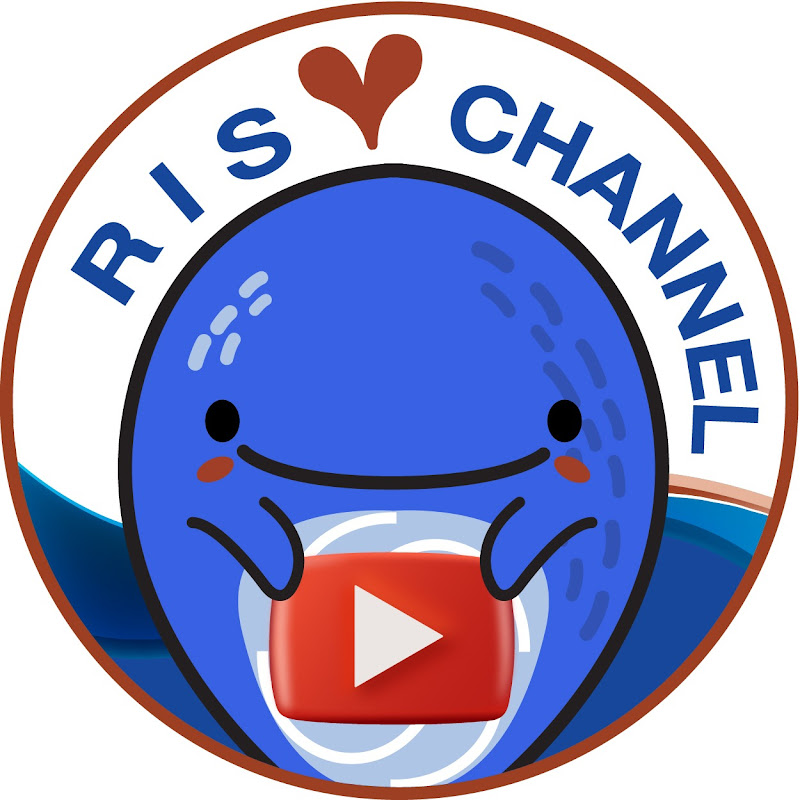 RIS Channel