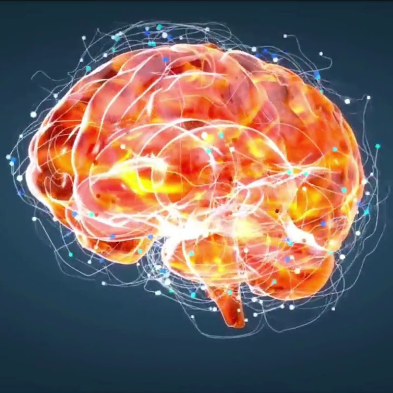 No Brain