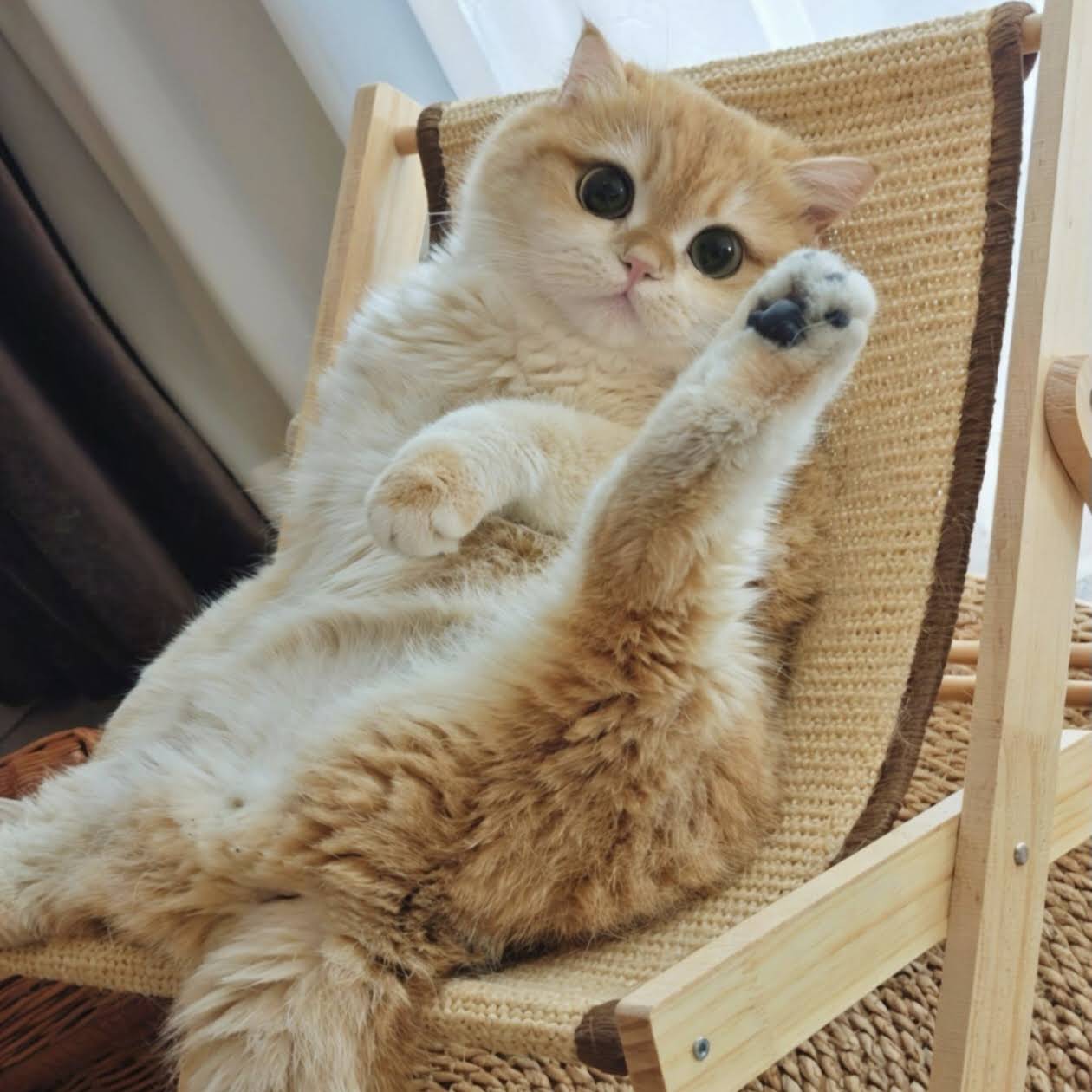 Post from Catherine Ren