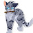 @Firestar_graystripe123