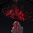 Yqoyr1cPff4-channel-avatar-Hinaa studio