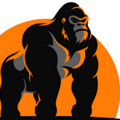 AntsTrades net worth