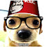 rBH5UZE9ydo-channel-avatar-EL PERRITO GRACIOSO 🐶🍗 2  (ahora es personal)