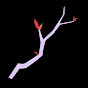 XAphfPiQD1Q-channel-avatar-Rama Low