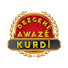 fSRm6GG5Gxc-channel-avatar-Dezgehe Awaze Kurdi