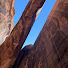 vtLN5f-yvyU-channel-avatar-Family World Wanderer