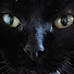 iMsW8YeUyTw-channel-avatar-Si Mo Ne
