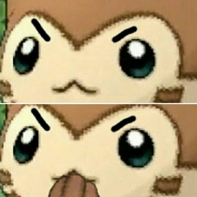 buibui 97