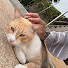 _CXD9vOA8jY-channel-avatar-Max Channel