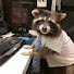 oSYjK8T01zs-channel-avatar-Raccoon'sR