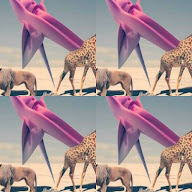 thumbnail img1x1
