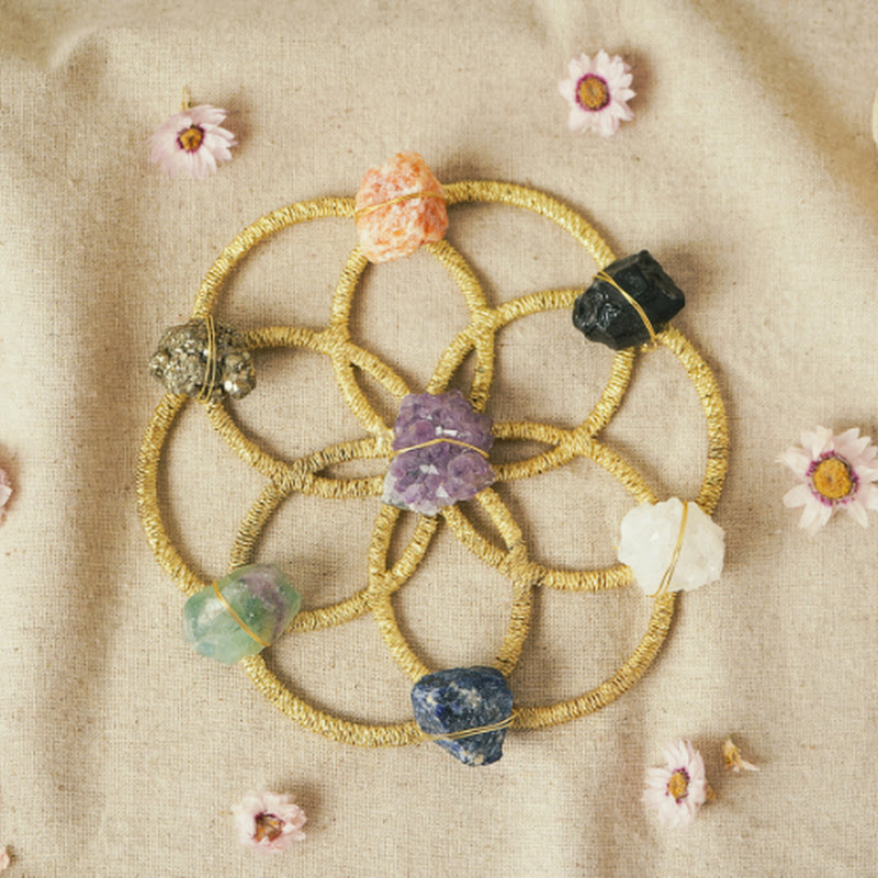 每日治愈所 Logo