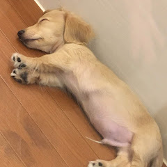 ひろきちくん
