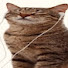 0AF3rGn6Ox0-channel-avatar-Ny@~