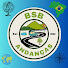0Xw2XRXjLq0-channel-avatar-BSB ANDANÇAS