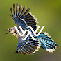 Winged Wonders logo