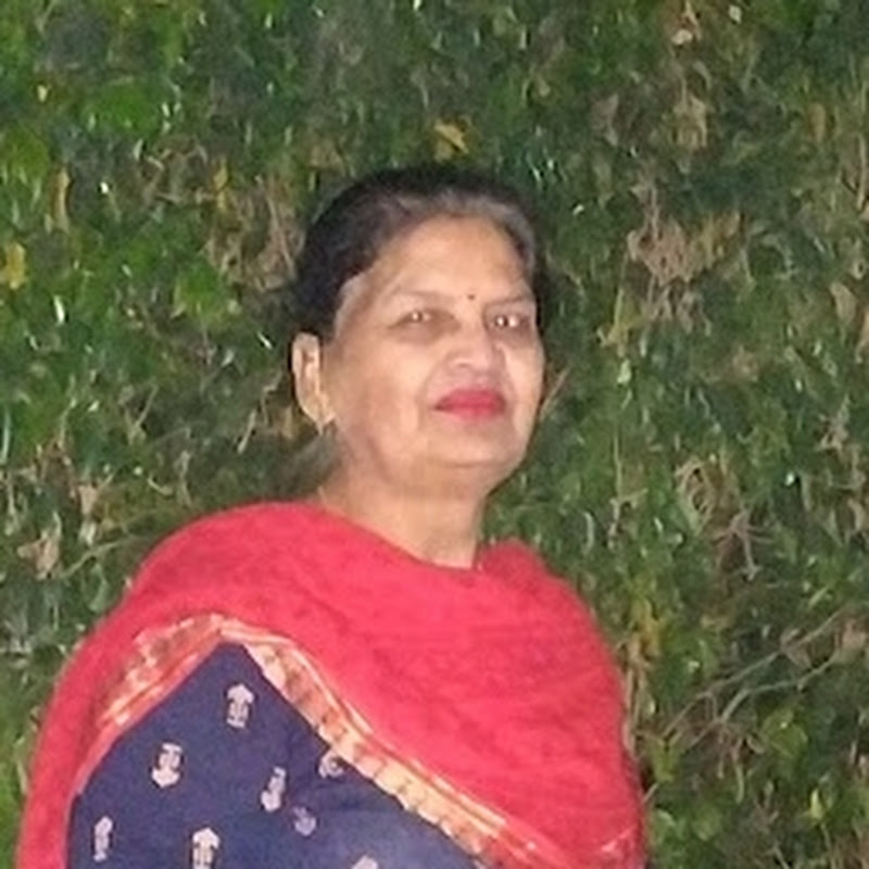 Dilli Wali Aunty icon
