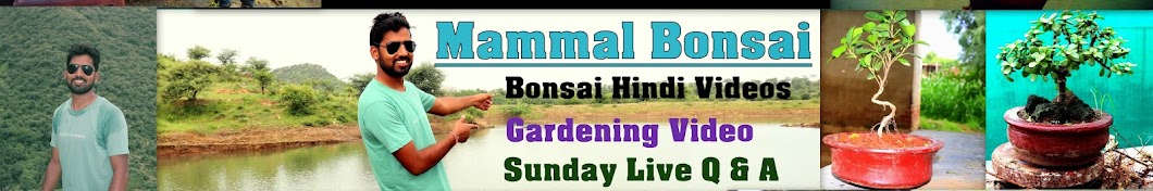 Mammal Bonsai ইউটিউব চ্যানেল অ্যাভাটার