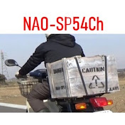 NAO-SP54Ch