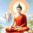 Yi-UyW2bVhU-channel-avatar-Thai Nirvana Journey