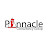 Pinnacle Consultancy Group
