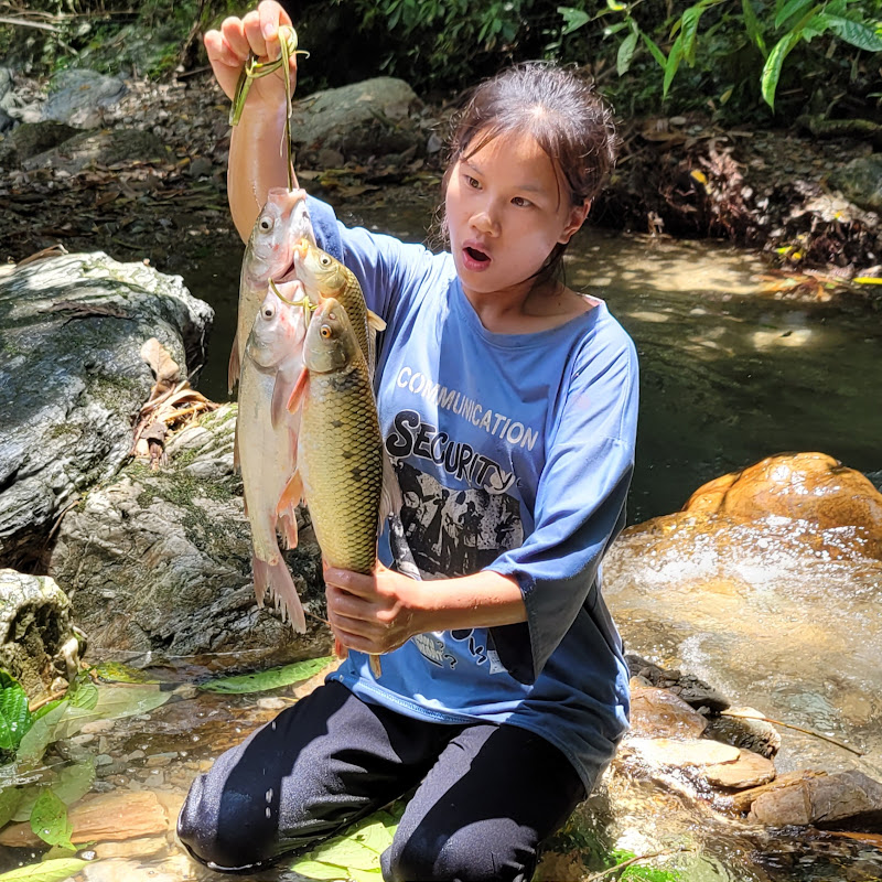 Điền Tây Tiểu Cô 