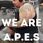 We are A.P.E.S. Development logo