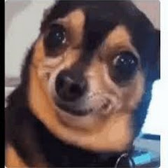 Pomegranate and Huajiaoアイコン画像