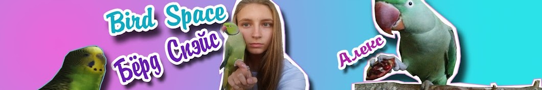 Bird Space Avatar channel YouTube 