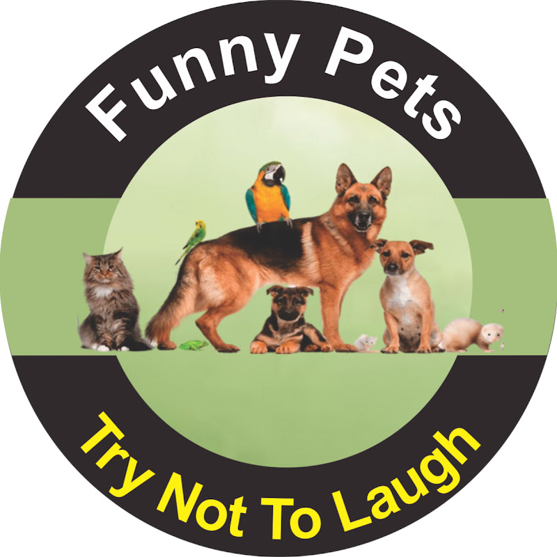 Funimals: Be Amazed By Funny Facts About Animals icon