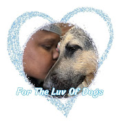For The Luv Of Dogs