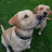 @sonnymeadows65