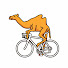 Bikes e Camelos