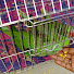 6VmWsA3bwUw-channel-avatar-parrot eating sound