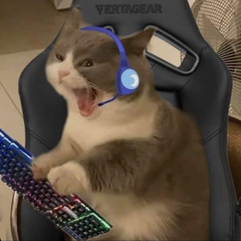 CoolCatCami icon