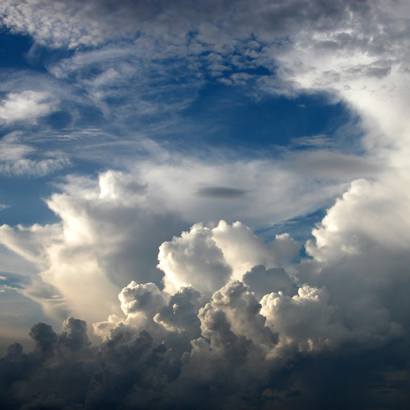 二〇二五年秋季國際同工及負責弟兄訓練 第六篇