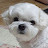 @벤지짱