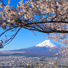 世界遺産富士山写真販売アイコン画像