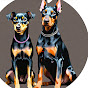 BarkBossTV logo