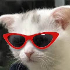 Channel Thumbnail